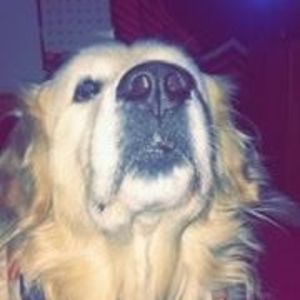 Meet your Posher, Ethan